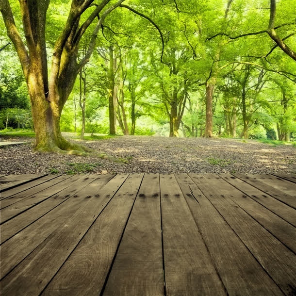 梦幻树林木板风景免抠