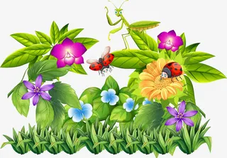 矢量手绘植物和昆虫免抠
