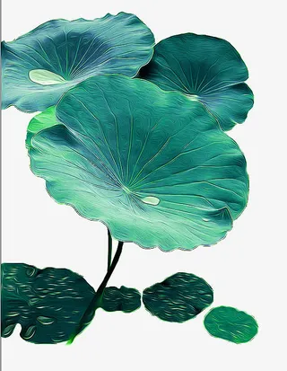 荷叶免抠