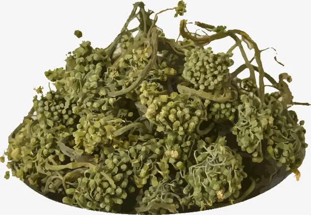 人参花的矢量免抠