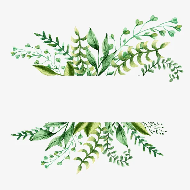 手绘水彩绿色植物叶子免抠