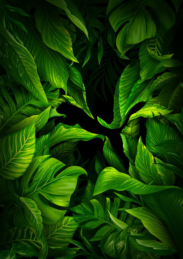 神秘绿色植物树叶卡通免抠
