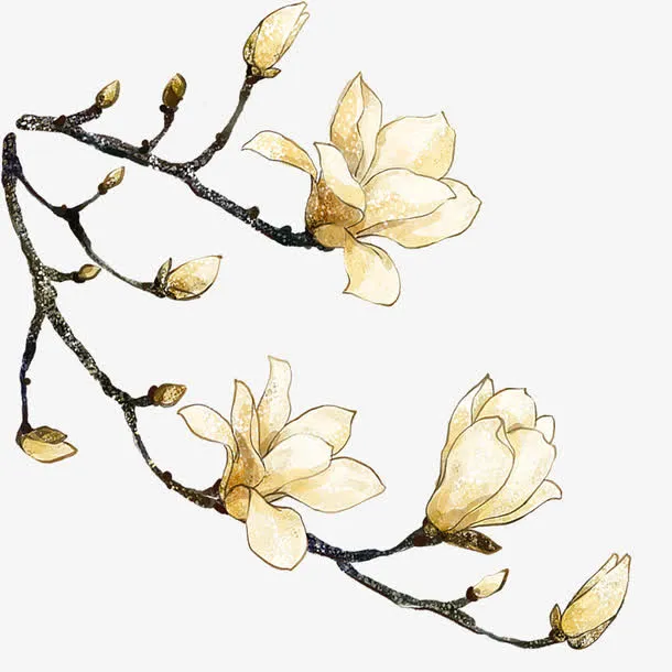 梨花免抠