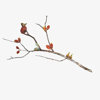 红色简约大方树枝免抠