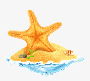 精美海星设计矢量素材免抠