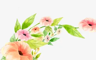 手绘鲜花PNG图片免抠