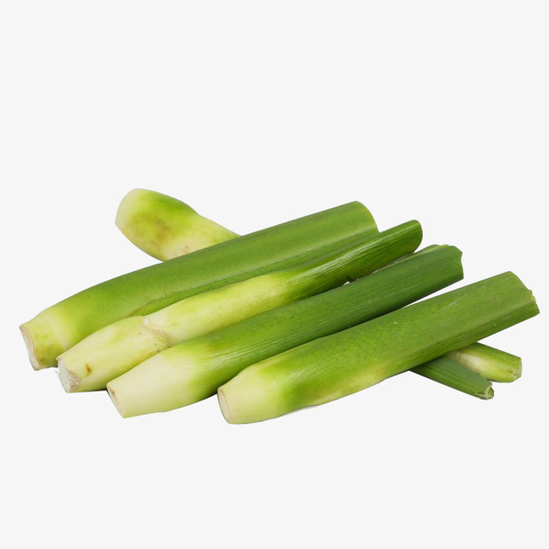 茭白实物免抠