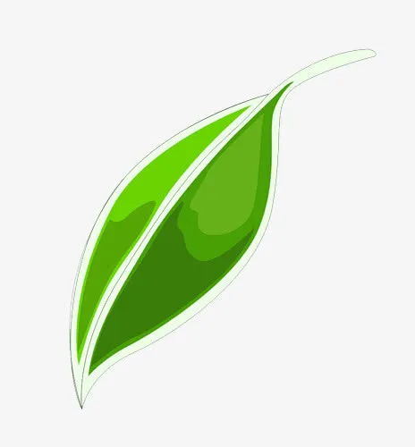 绿叶卡通免抠