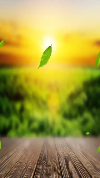 小清新风景摄影H5背景素材高清