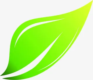 绿色渐变创意树叶春天免抠