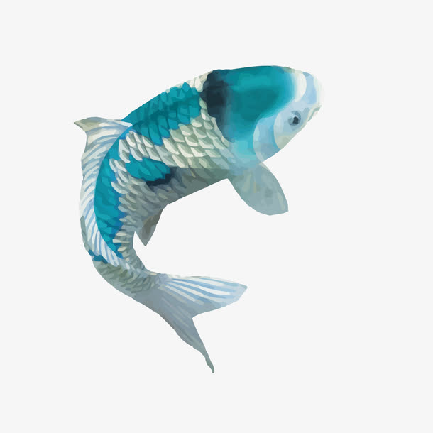 矢量鲤鱼免抠