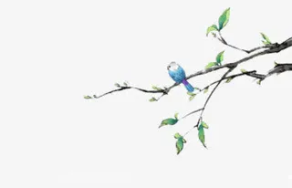 彩绘小鸟树枝装饰免抠