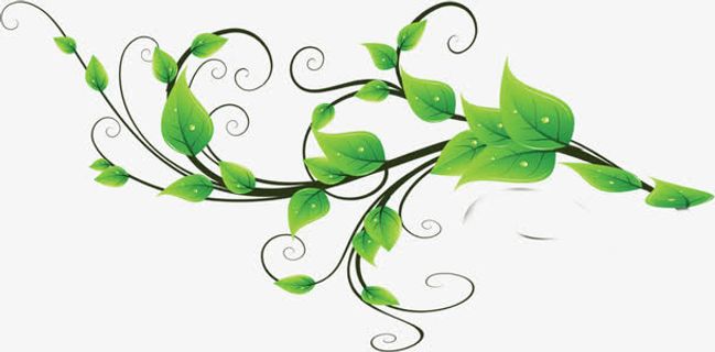 春天水滴手绘绿叶免抠