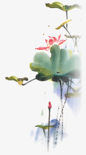 国画荷花免抠