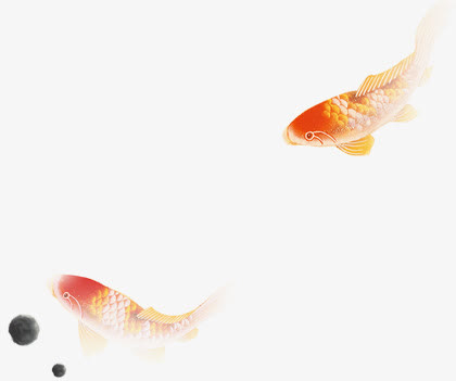 鱼免抠