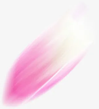 笔刷粉色花瓣下载图片免抠