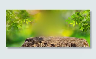 绿色风景岩石背景装饰高清