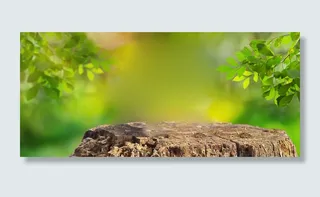 绿色风景岩石背景装饰高清