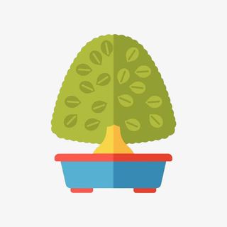 盆栽里面的绿色植被免抠