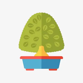 盆栽里面的绿色植被免抠