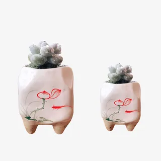 两颗可爱的多肉免抠