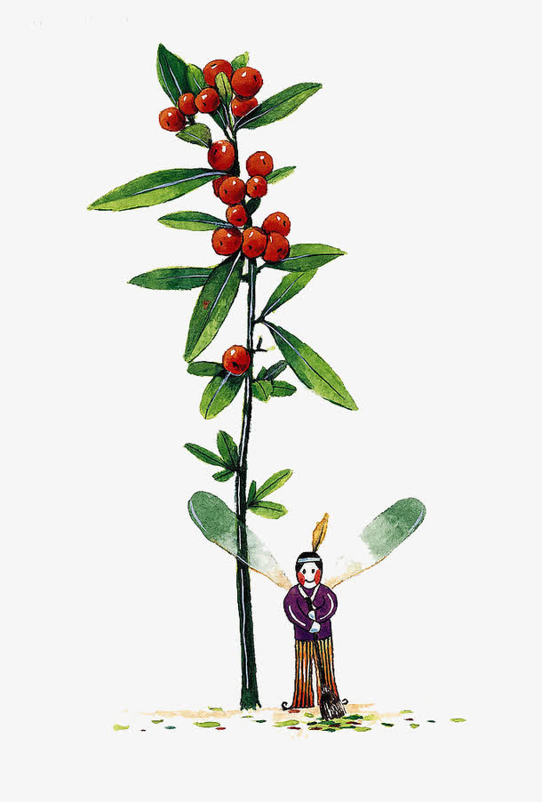 卡通可爱蜻蜓精灵植物免抠