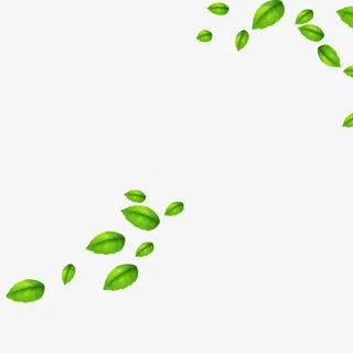 漂浮的叶子免抠