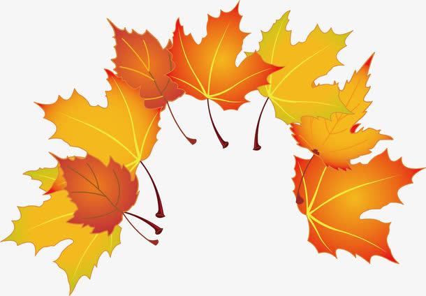 枫叶png矢量素材免抠