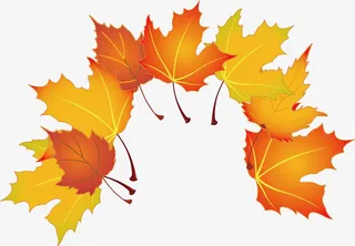 枫叶png矢量素材免抠