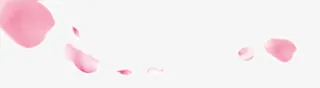 漂浮花瓣免抠