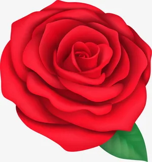 矢量手绘盛开的花朵免抠