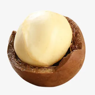 一颗饱满的夏威夷果免抠