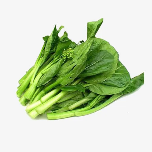 白菜苔素材免抠
