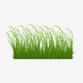 卡通草地矢量图下载免抠