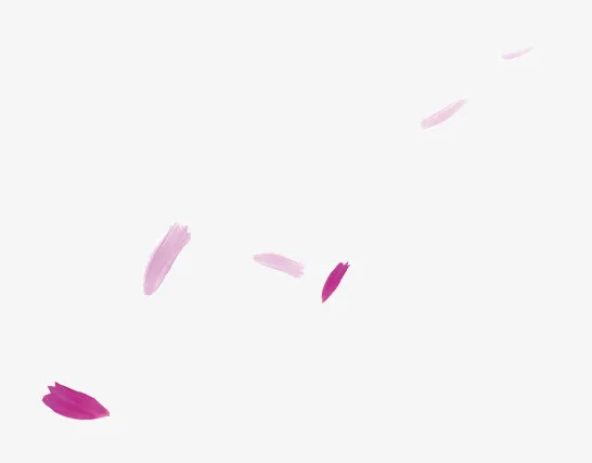 紫色花瓣漂浮免抠