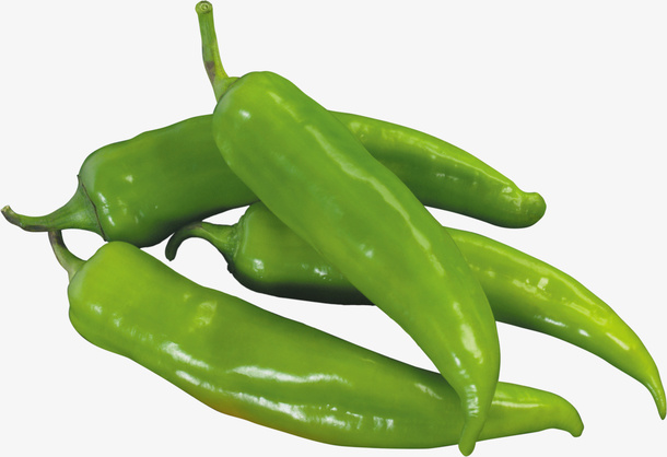 辣椒食材 采摘 青椒 生物世界免抠