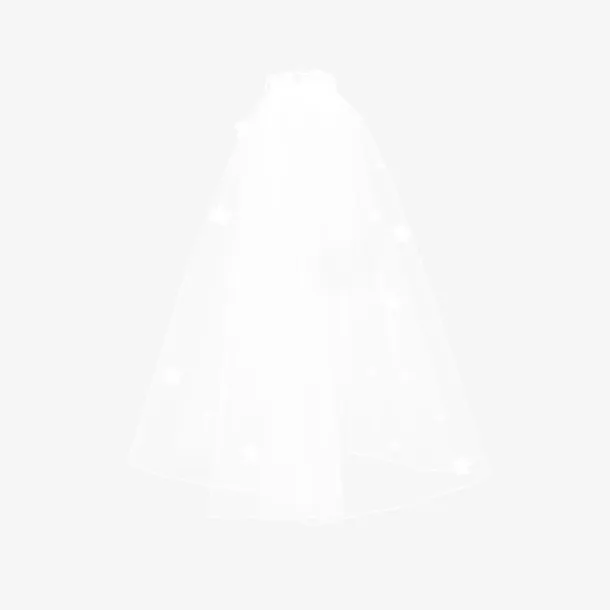 对称头纱黑色免抠