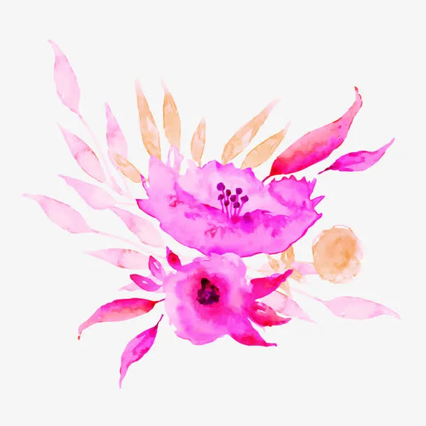 粉色水彩植物花朵设计插画免抠