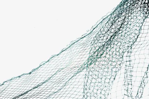 渔网素材免抠
