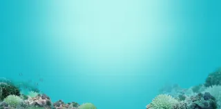 蓝色海底世界海报背景