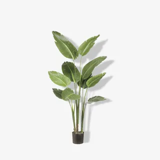 黑色花盆绿色盆栽免抠