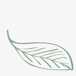 绿色线描树叶免抠