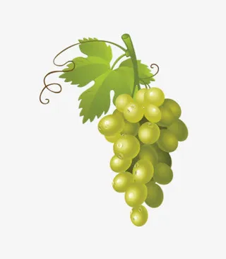 新鲜青提卡通画免抠