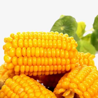 美味玉米棒免抠