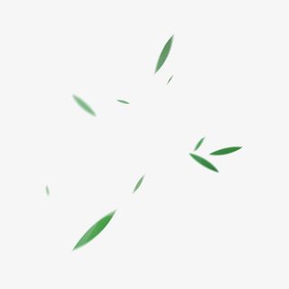 绿叶免抠