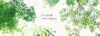 绿叶banner设计