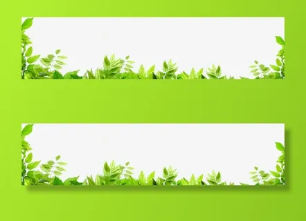 春天清新绿叶边框免抠装饰植物元素