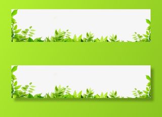 春天清新绿叶边框免抠装饰植物元素