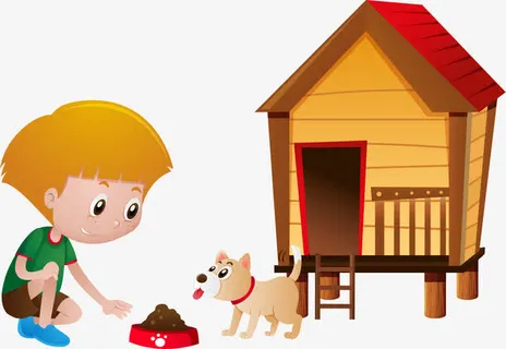 喂食宠物狗免抠