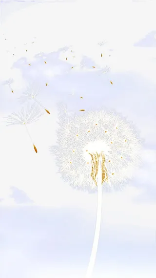 飞舞的蒲公英免抠